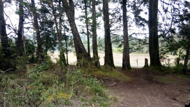 CantoalAgua2019 - Laguna de Guarne - emergencia