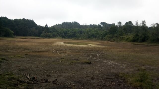 CantoalAgua2019 - Laguna de Guarne - emergencia