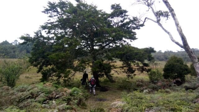 CantoalAgua2019 - Laguna de Guarne - emergencia