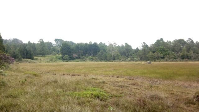 CantoalAgua2019 - Laguna de Guarne - emergencia