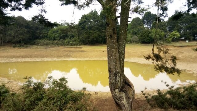 CantoalAgua2019 - Laguna de Guarne - emergencia